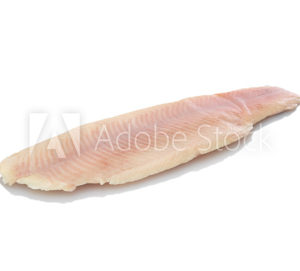 forelle-frisch-filet