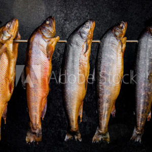 saibling-fisch-heiß-geräuchert